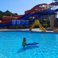 фото из отзыва ID 2738438