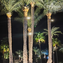 фото из отзыва ID 2738438