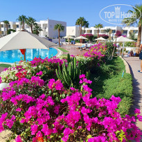 фото из отзыва ID 2738440