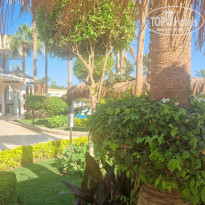 фото из отзыва ID 2738443