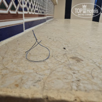 фото из отзыва ID 2738441