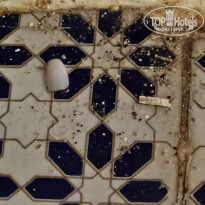 фото из отзыва ID 2738441