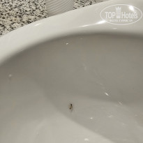 фото из отзыва ID 2738441