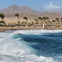 фото из отзыва ID 2738441