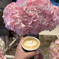 фото из отзыва ID 2738445