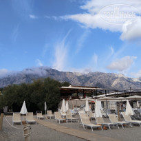 фото из отзыва ID 2738465