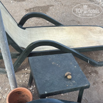 фото из отзыва ID 2738469