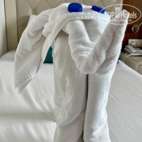 фото из отзыва ID 2738421