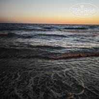 фото из отзыва ID 2738489