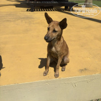 фото из отзыва ID 2738493