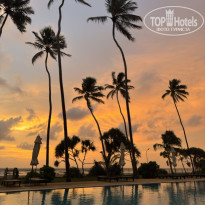 фото из отзыва ID 2738493