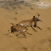 фото из отзыва ID 2738493