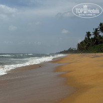 фото из отзыва ID 2738493