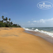 фото из отзыва ID 2738493