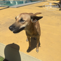 фото из отзыва ID 2738493