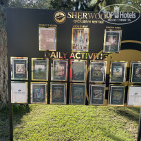 фото из отзыва ID 2738492