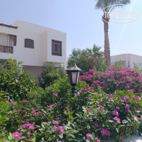 фото из отзыва ID 2738490