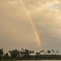 фото из отзыва ID 2738487