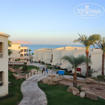 фото из отзыва ID 2738503