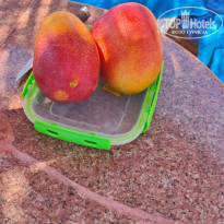 фото из отзыва ID 2738503