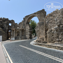 фото из отзыва ID 2738508