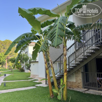 фото из отзыва ID 2738508