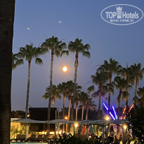 фото из отзыва ID 2738508