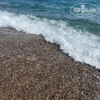 фото из отзыва ID 2738508