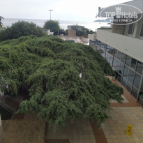 фото из отзыва ID 2738509