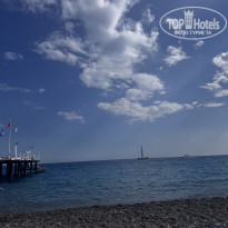 фото из отзыва ID 2738511