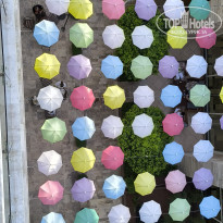 фото из отзыва ID 2738510