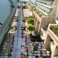 фото из отзыва ID 2738510