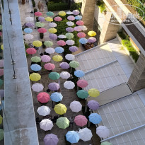 фото из отзыва ID 2738510