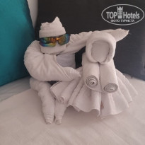 фото из отзыва ID 2738510