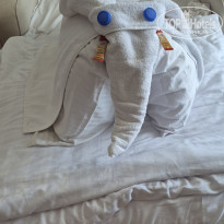 фото из отзыва ID 2738529