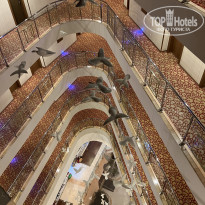 фото из отзыва ID 2738534