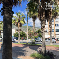 фото из отзыва ID 2738527