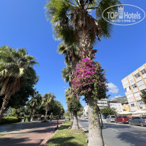 фото из отзыва ID 2738527