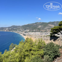 фото из отзыва ID 2738527