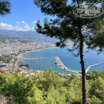 фото из отзыва ID 2738527