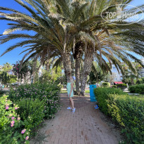 фото из отзыва ID 2738527