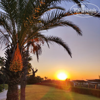 фото из отзыва ID 2738539