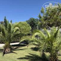 фото из отзыва ID 2738544