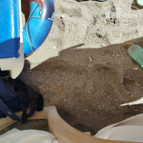 фото из отзыва ID 2738543