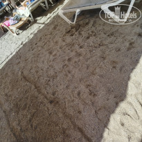 фото из отзыва ID 2738543