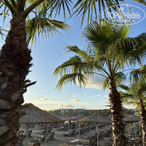 фото из отзыва ID 2738545