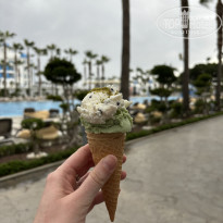 фото из отзыва ID 2738545