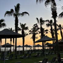 фото из отзыва ID 2738545