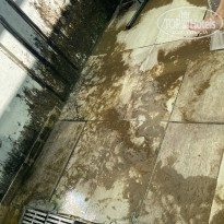 фото из отзыва ID 2738546