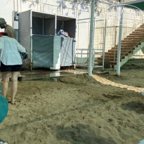 фото из отзыва ID 2738546